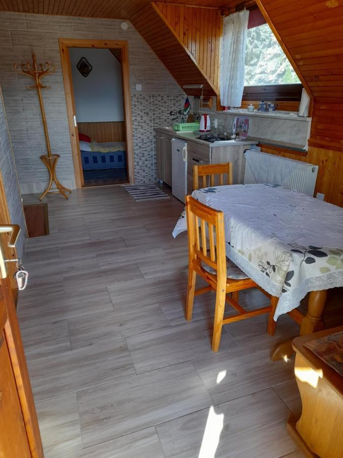 Harmonia Vendeghaz 100 Meterre Az Igali Gyogyfuerdotolアパートメント エクステリア 写真