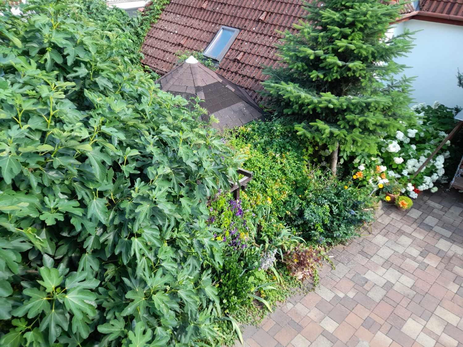 Harmonia Vendeghaz 100 Meterre Az Igali Gyogyfuerdotolアパートメント エクステリア 写真